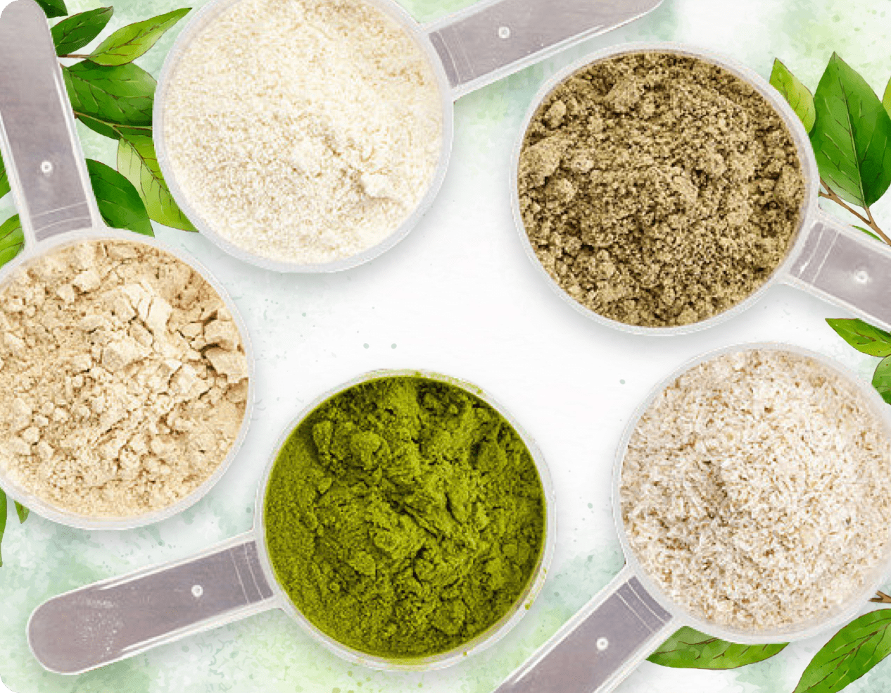 Four scoops of ProDentim's natural ingredient blend: Inulin, Malic Acid, Tricalcium Phosphate, and Peppermint